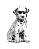 cool-000.gif